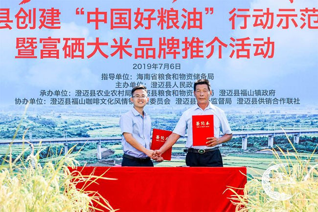 功能富硒大米（大米富硒功能与作用）-硒宝网