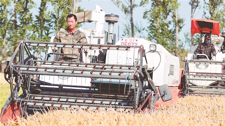 品牌富硒大米(大米富硒品牌排名)-硒宝网