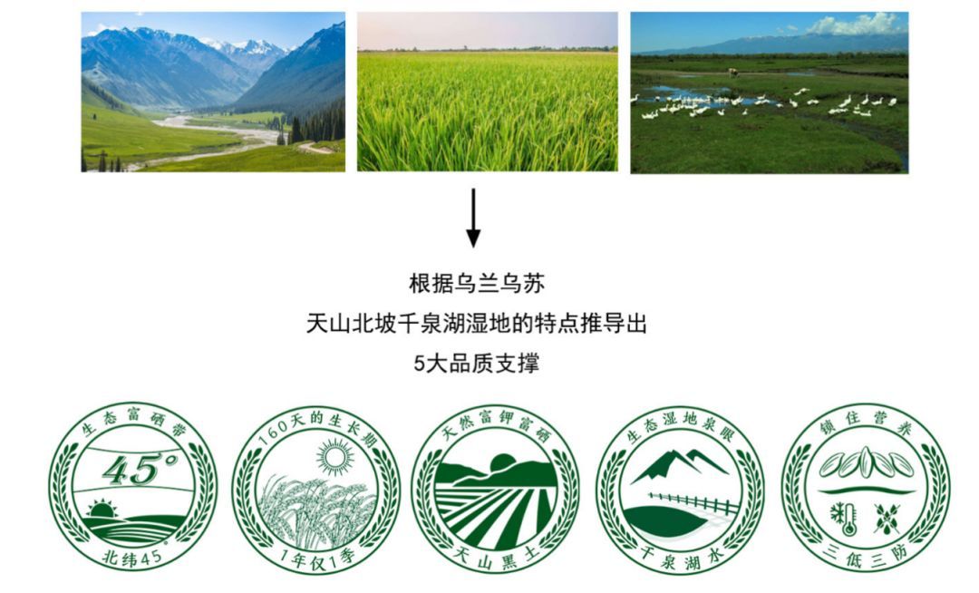 出售富硒大米(富硒大米哪里有卖)-硒宝网