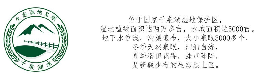 出售富硒大米(富硒大米哪里有卖)-硒宝网