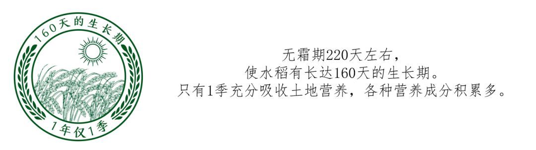 出售富硒大米(富硒大米哪里有卖)-硒宝网