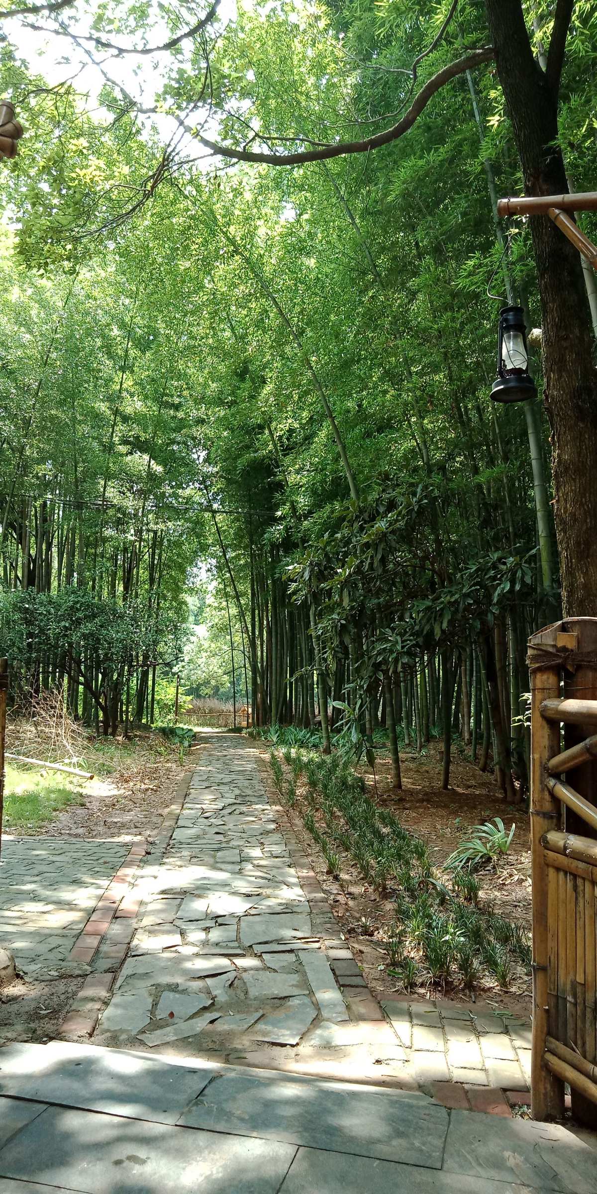 山村富硒大米（大山村富硒米多少钱一斤）-硒宝网