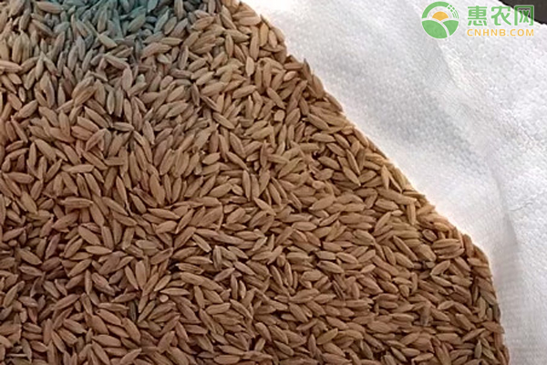 衡阳富硒大米(湖南富硒大米)-硒宝网