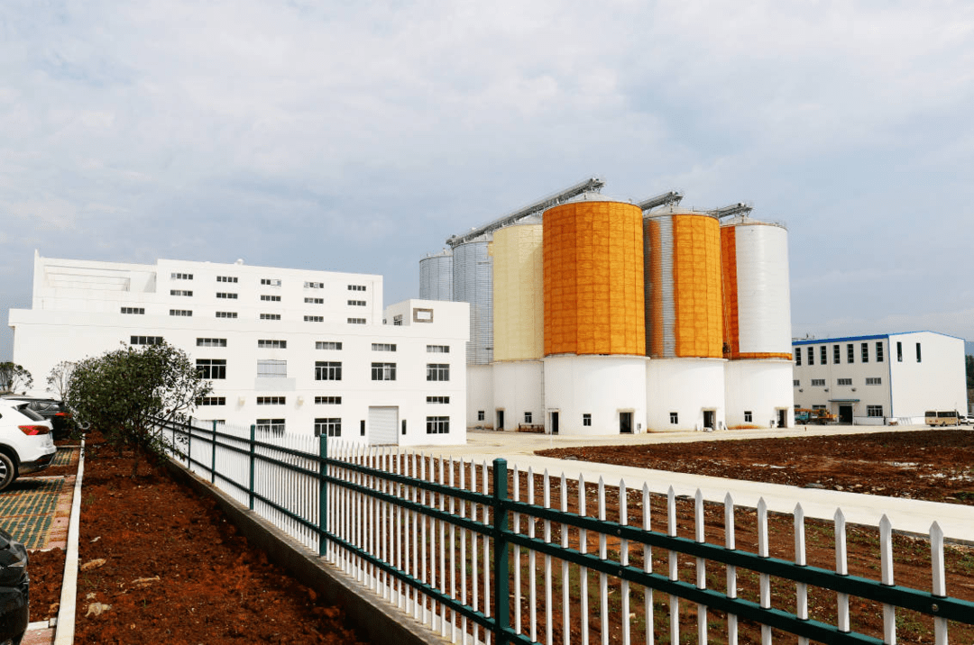 富硒大米英文(大米英文富硒怎么写)-硒宝网