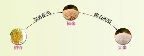 高原富硒大米(高山富硒大米)-硒宝网