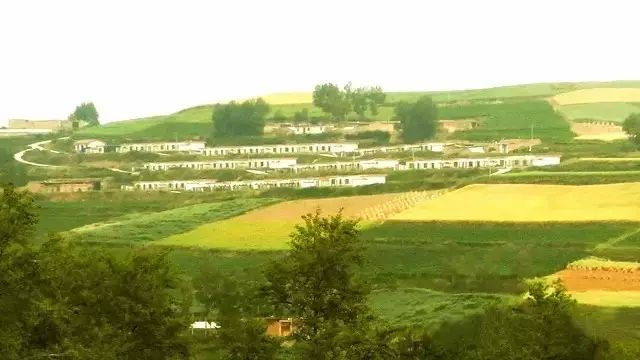 高原富硒大米(高原大米富硒产地)-硒宝网