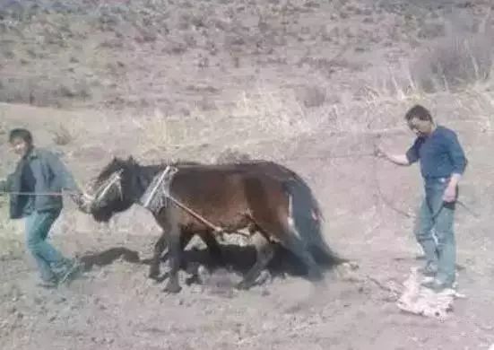 高原富硒大米(高原大米富硒产地)-硒宝网