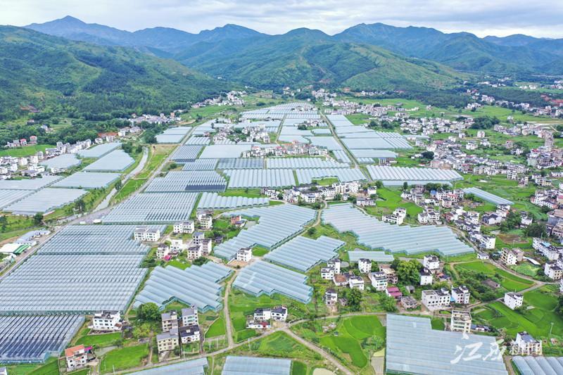 富硒大米江西(赣南富硒大米)-硒宝网