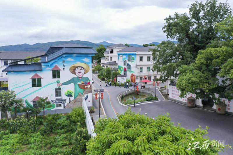 富硒大米江西(赣南富硒大米)-硒宝网