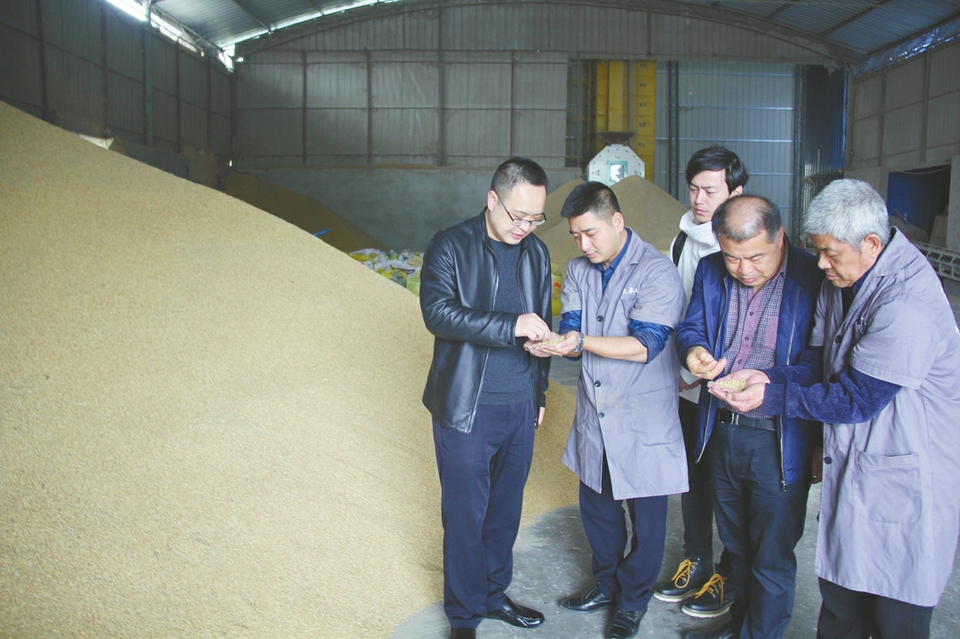 富硒大米限值(大米限值富硒含量)-硒宝网