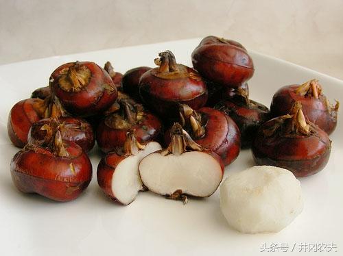 乾隆富硒大米(据报道富硒大米有多种保健功能)-硒宝网