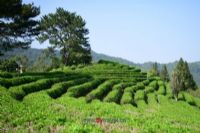 乾隆富硒大米(富硒大米多少钱一盒)-硒宝网