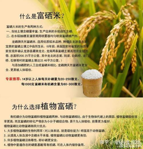 富硒大米发黄（大米发黄富硒怎么回事）-硒宝网