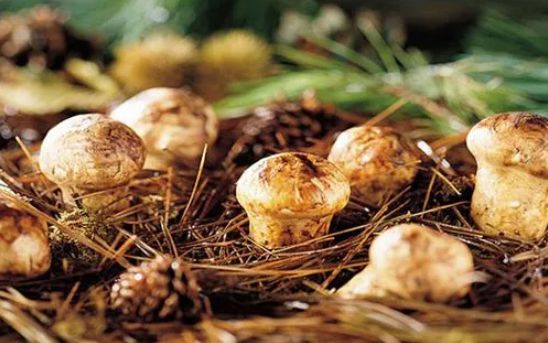 永福富硒大米（永顺富硒米）-硒宝网