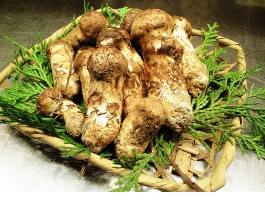 永福富硒大米（永顺富硒米）-硒宝网