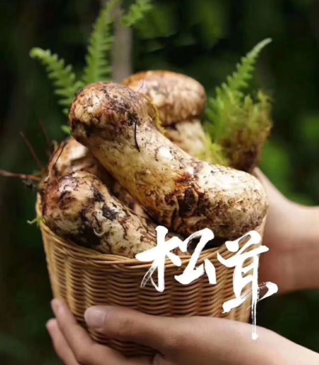 永福富硒大米（永顺富硒米）-硒宝网