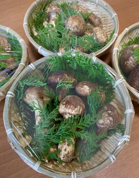 永福富硒大米（永顺富硒米）-硒宝网