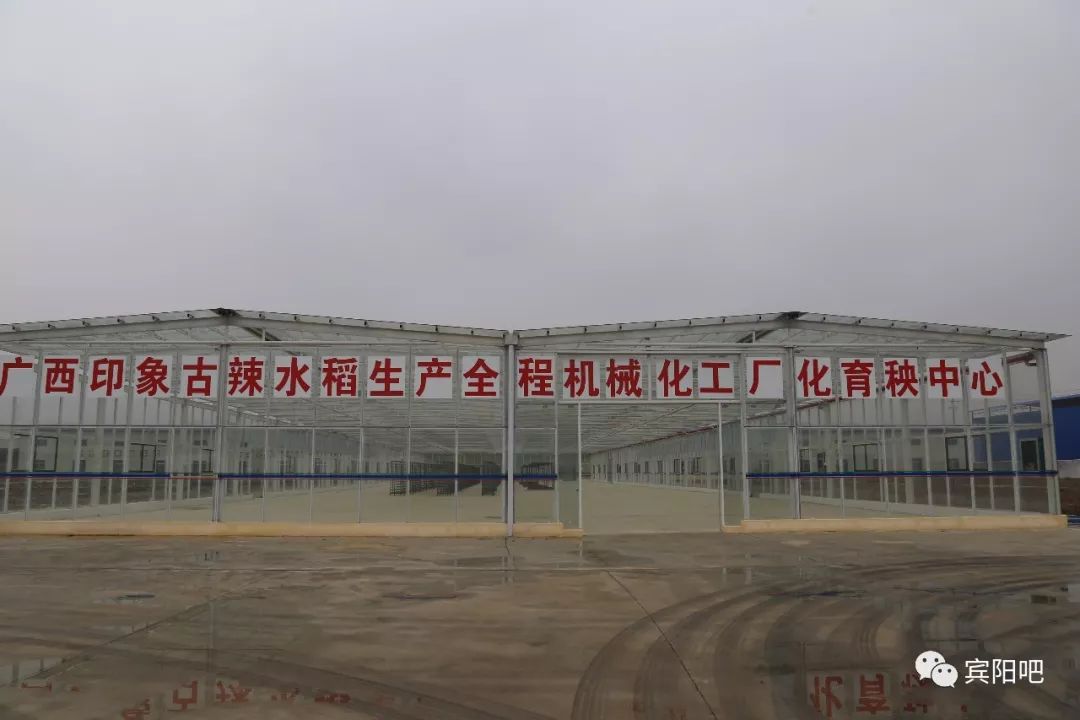 柳州富硒大米(广西富硒大米)-硒宝网