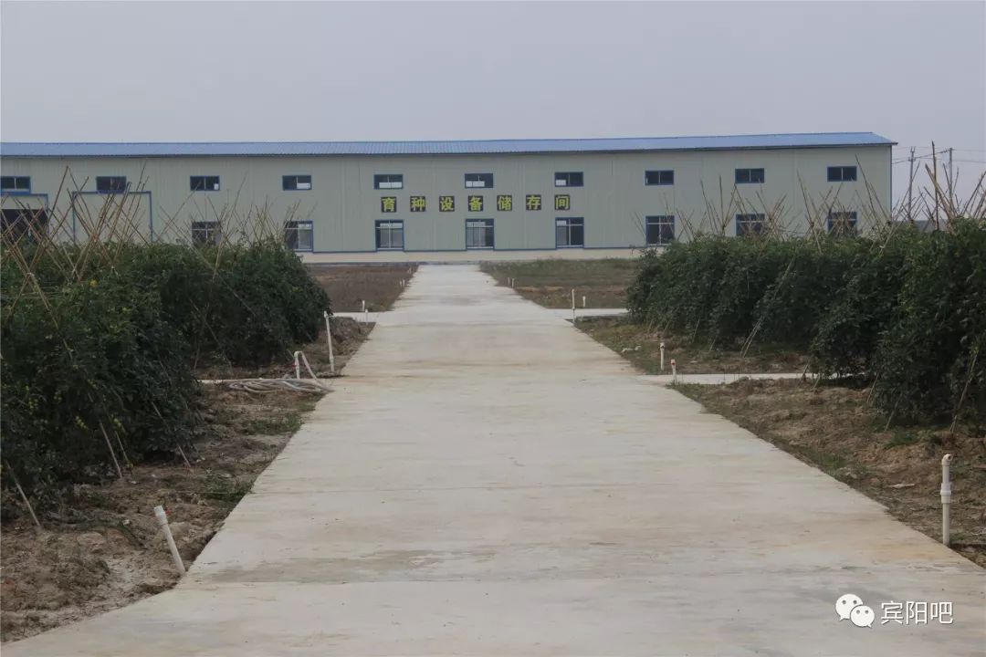 柳州富硒大米(广西富硒大米)-硒宝网