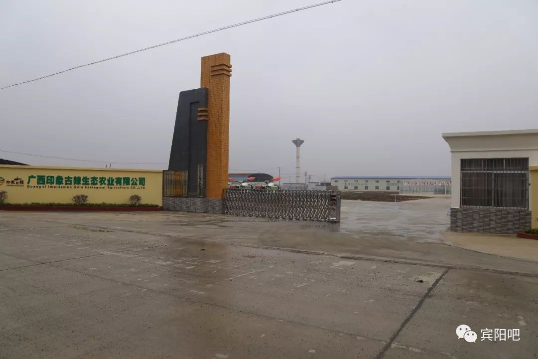 柳州富硒大米(广西富硒大米)-硒宝网