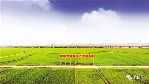 柳州富硒大米(广西富硒大米)-硒宝网