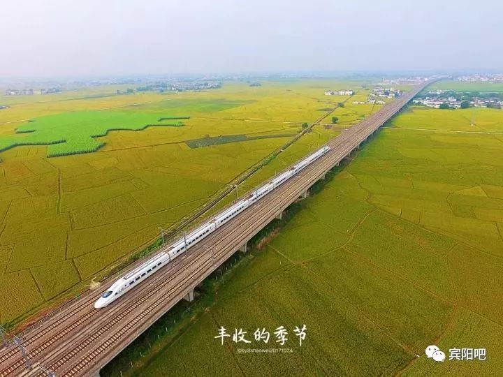 柳州富硒大米(广西富硒大米)-硒宝网