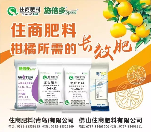 花生富硒大米(花生大米富硒含量多少)-硒宝网