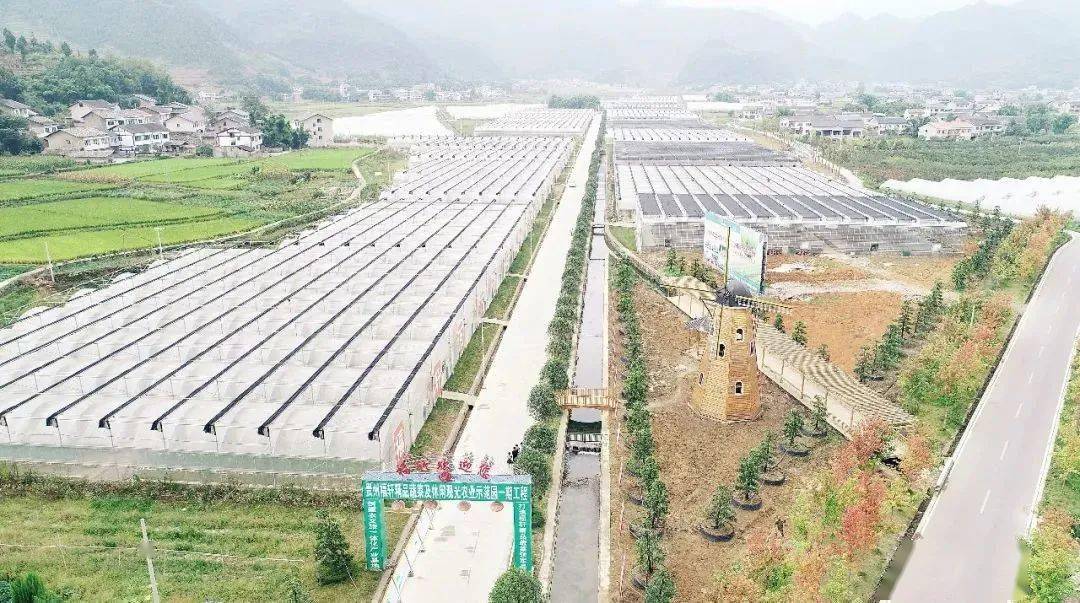 宁德富硒大米(富硒大米好在哪)-硒宝网