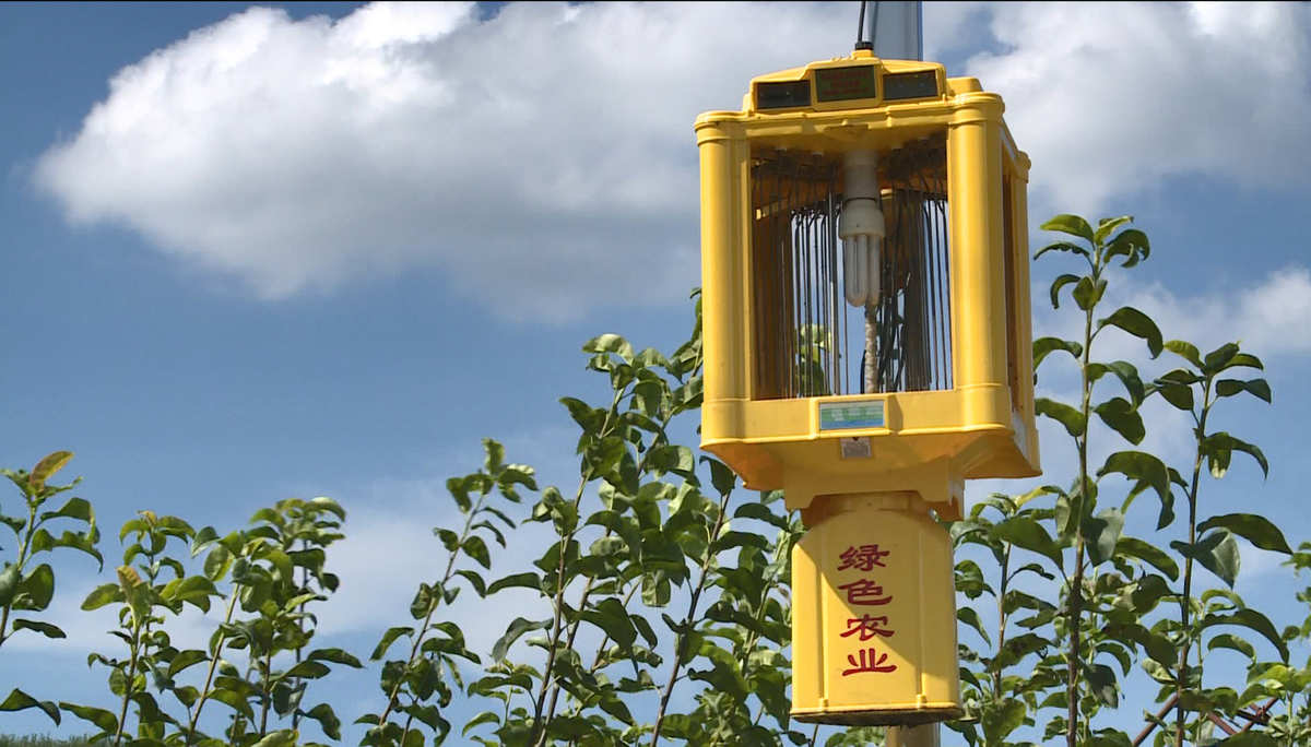 宁德富硒大米(富硒大米好在哪)-硒宝网