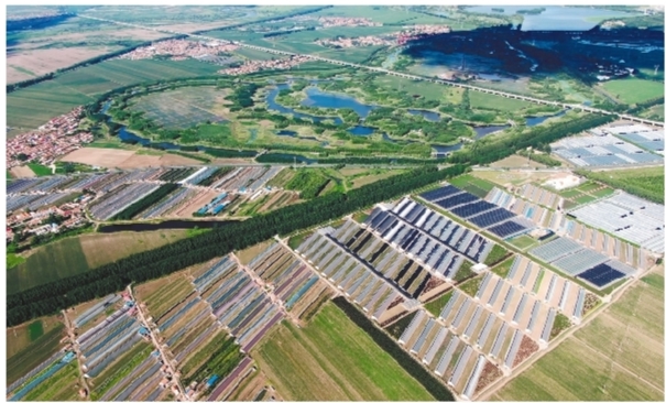 宁德富硒大米(富硒大米好在哪)-硒宝网