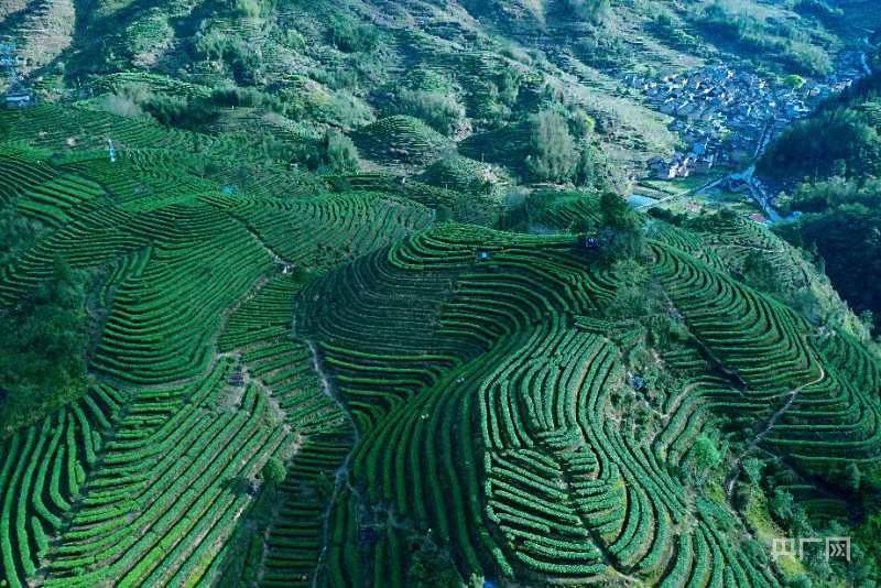 宁德富硒大米（福寿富硒大米）-硒宝网