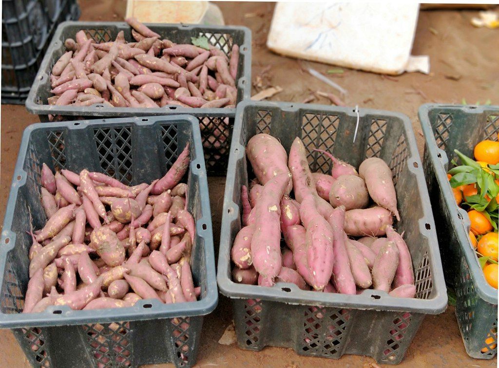 农业富硒大米(大米农业富硒含量)-硒宝网