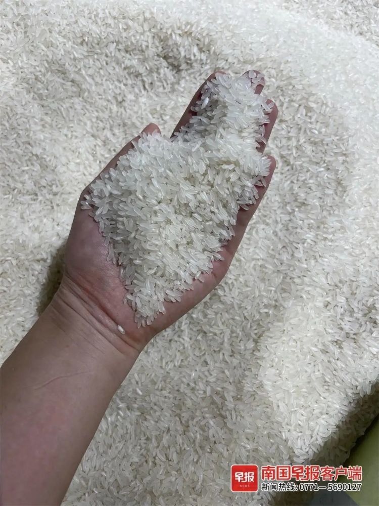 富硒大米发黄（富硒大米发黄吗）-硒宝网