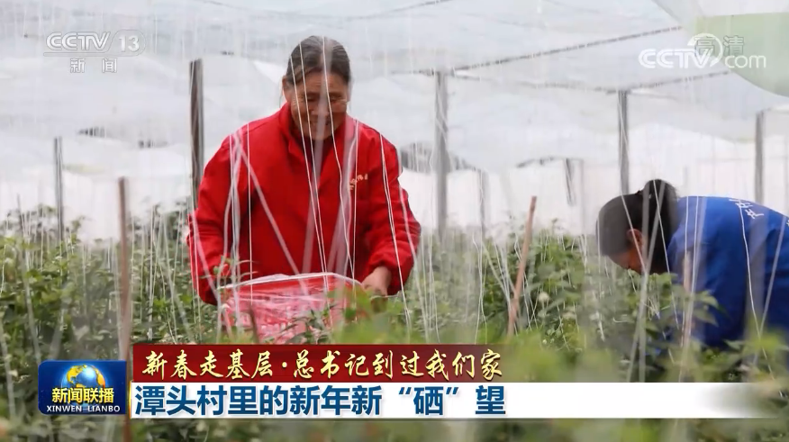 红卫富硒大米(富硒大米口感)-硒宝网