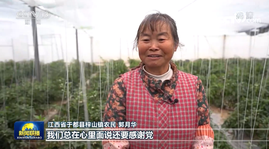 红卫富硒大米(富硒大米口感)-硒宝网