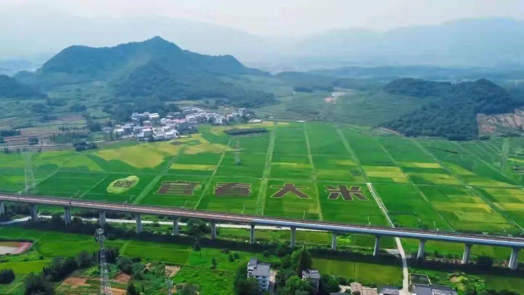 星火富硒大米(大米星火富硒米好吃吗)-硒宝网