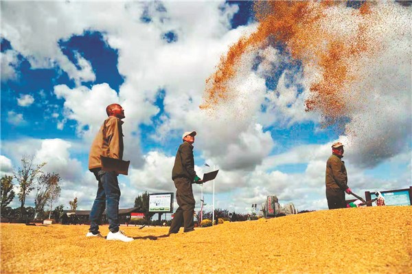 星火富硒大米(富硒大米口感如何)-硒宝网