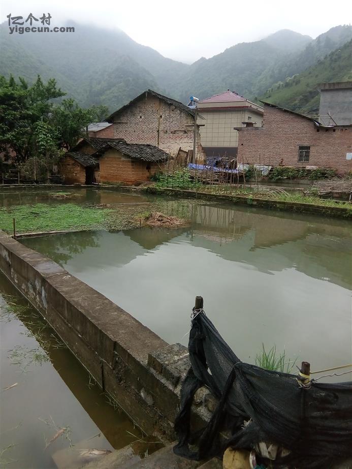 宁德富硒大米(富硒优质大米)-硒宝网