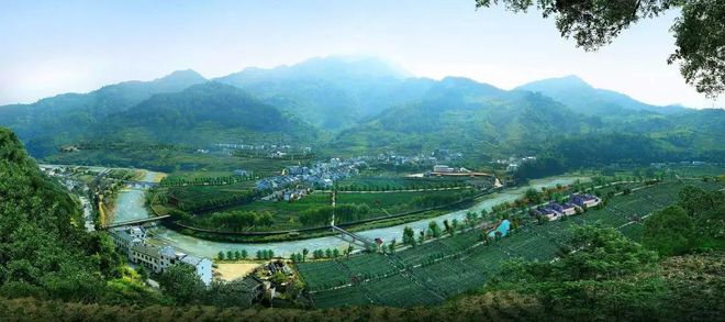 富硒大米新疆（富硒优质大米）-硒宝网