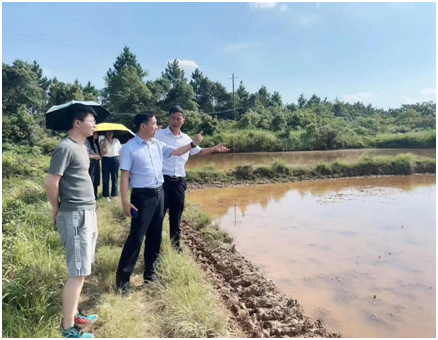 富硒大米国家（中国富硒大米地区排名）-硒宝网