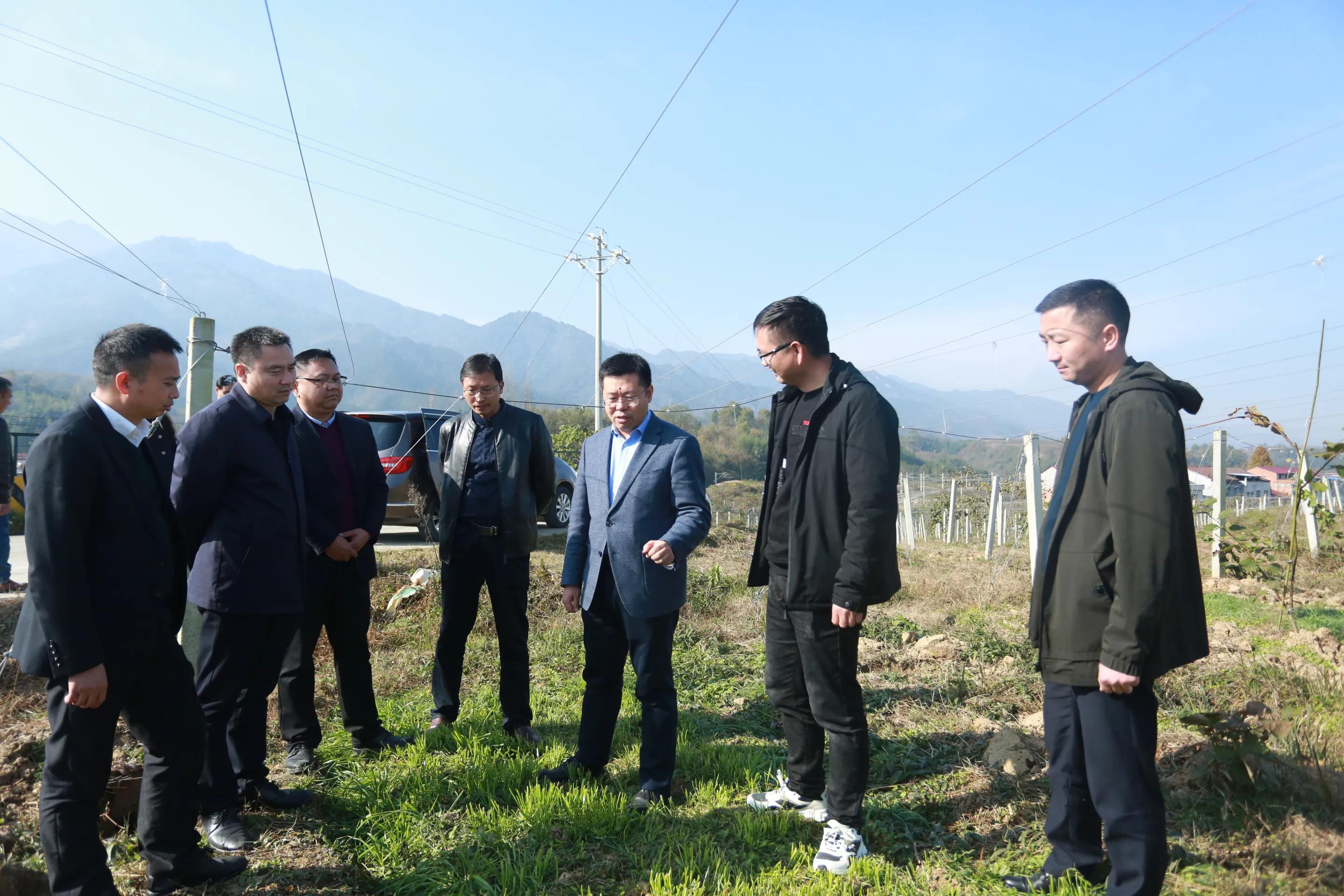 陕南富硒大米(富硒大米牌子)-硒宝网