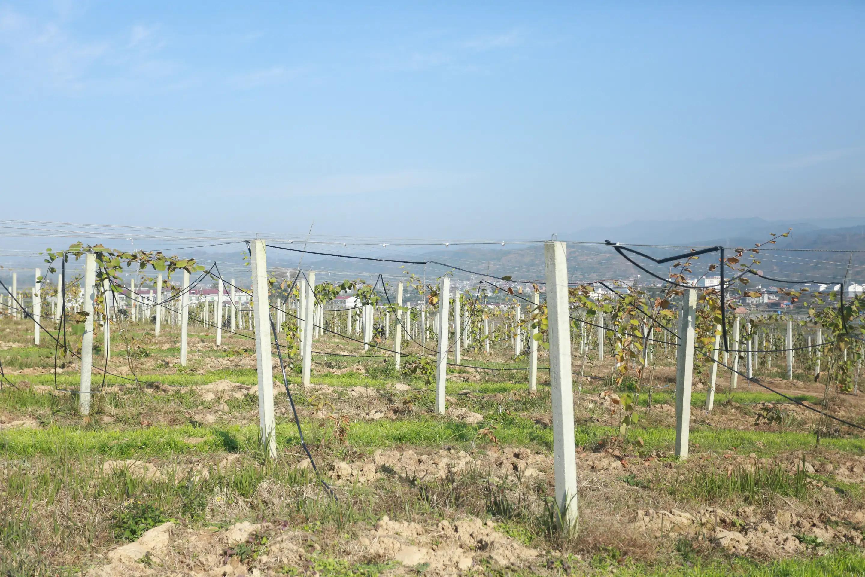 陕南富硒大米(富硒大米牌子)-硒宝网