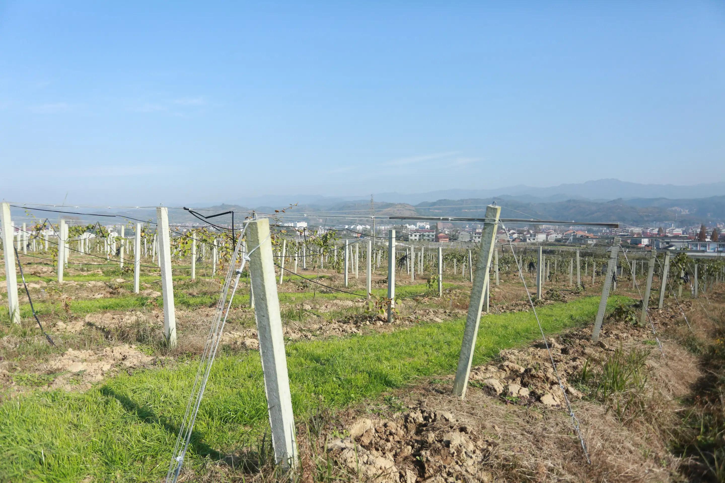 陕南富硒大米(富硒大米牌子)-硒宝网