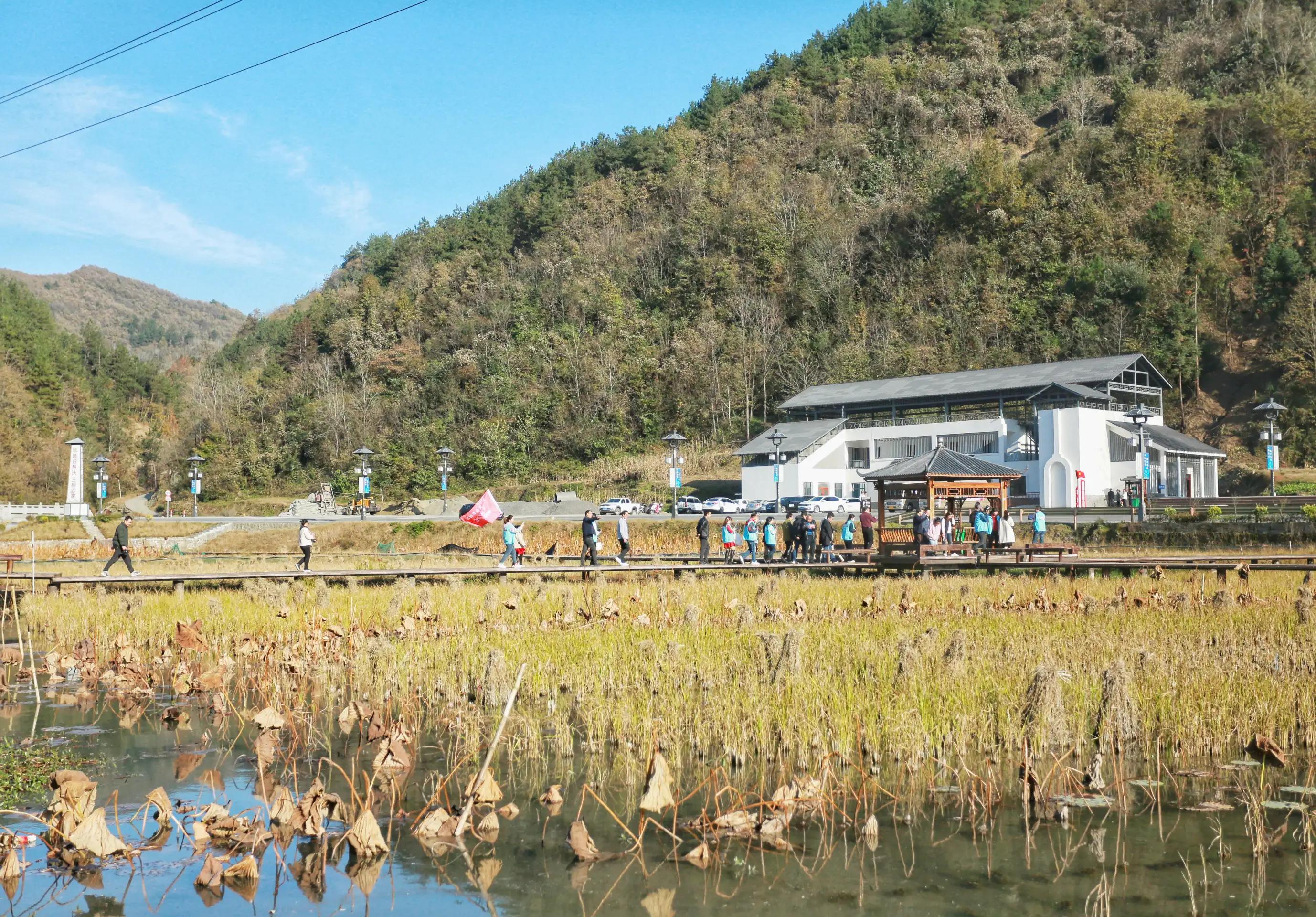 陕南富硒大米(富硒大米牌子)-硒宝网