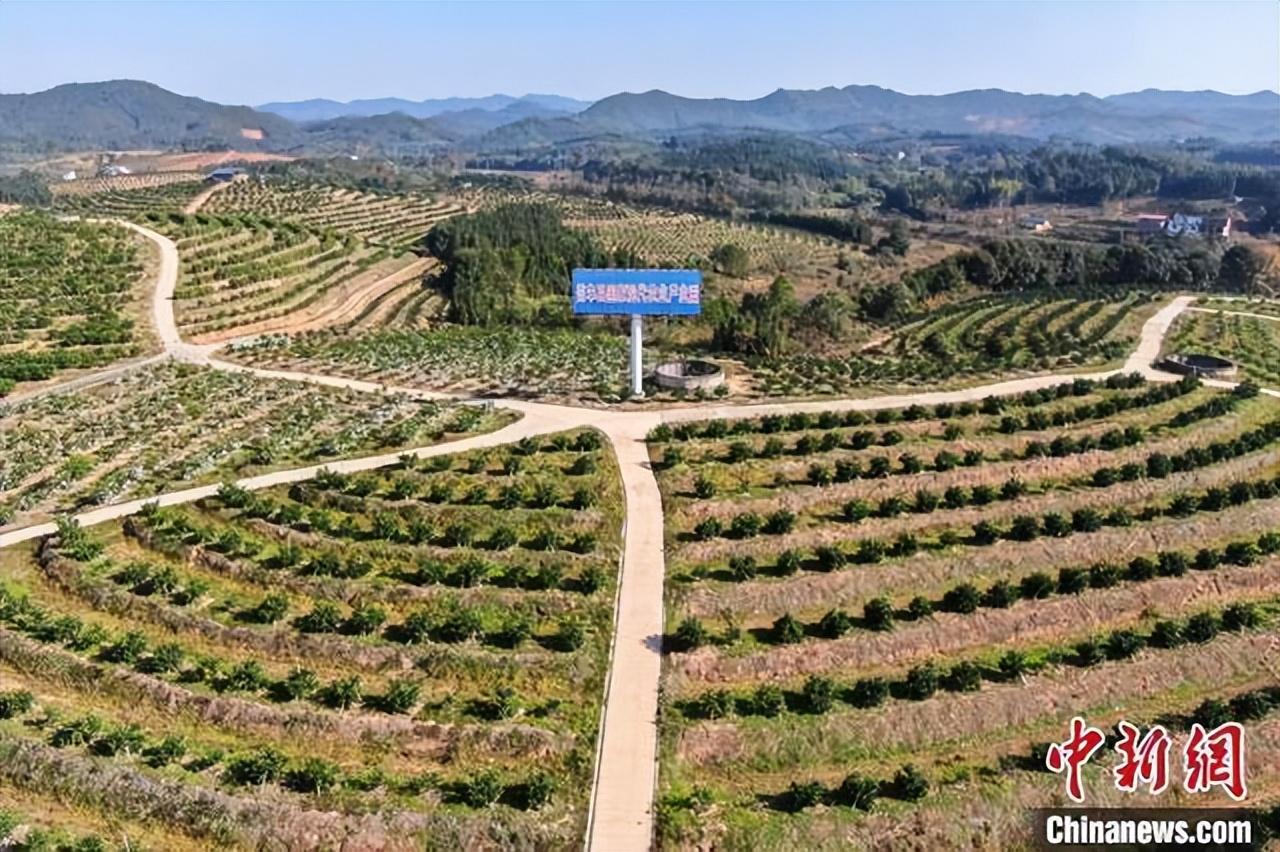 赣南富硒大米(全南富硒大米)-硒宝网