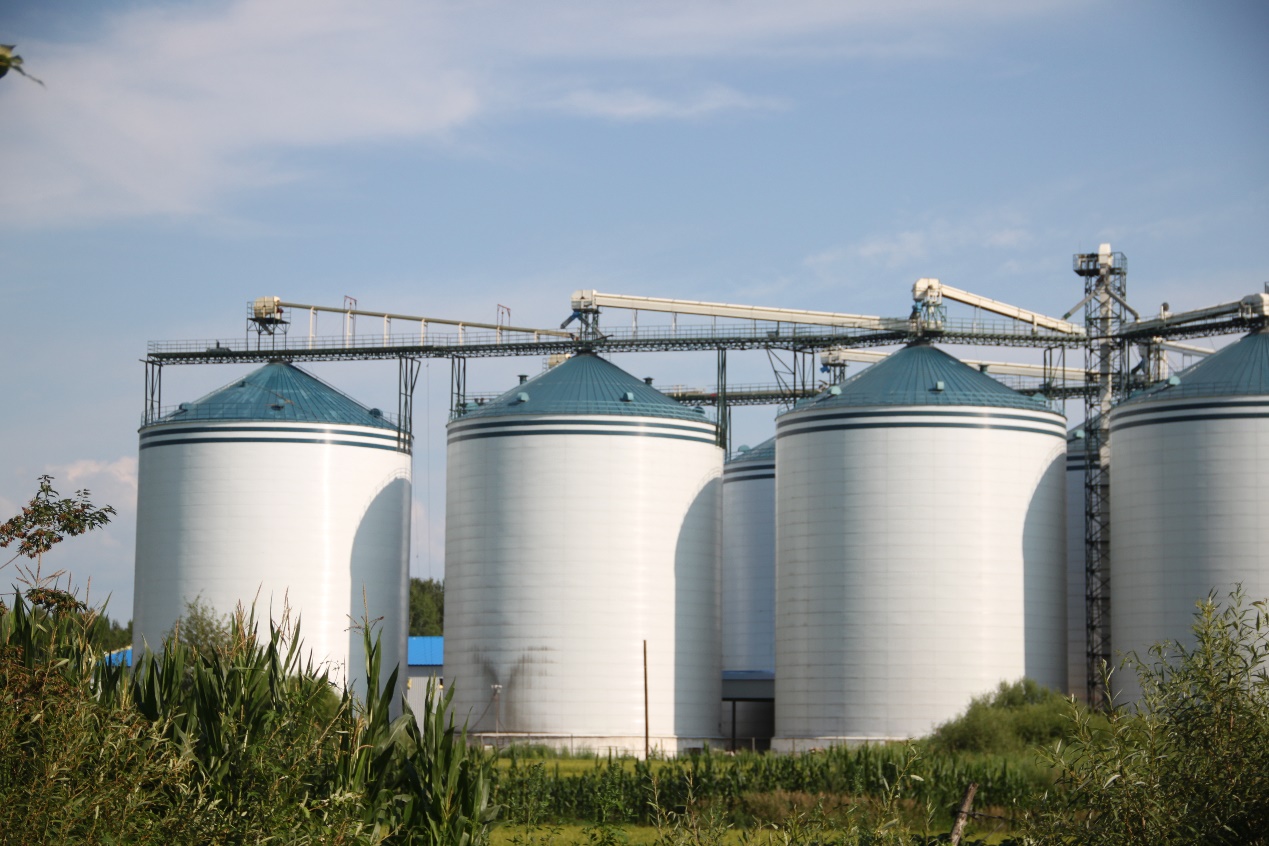 特产富硒大米（大米特产富硒是什么）-硒宝网