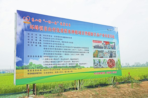 富硒柳河大米（富硒优质大米）-硒宝网