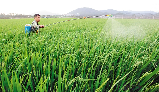 农垦富硒大米（富硒大米市场前景）-硒宝网