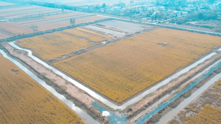 河岸富硒大米（富硒优质大米）-硒宝网