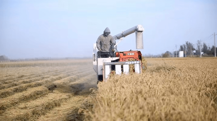 河岸富硒大米（富硒优质大米）-硒宝网